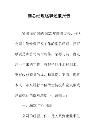 副总经理述职述廉报告--精编范文
