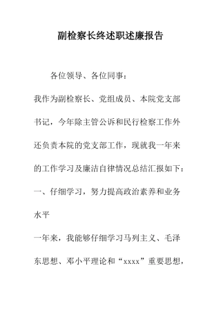 副检察长终述职述廉报告--精编范文