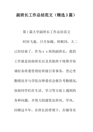 副班长工作总结范文--精编范文