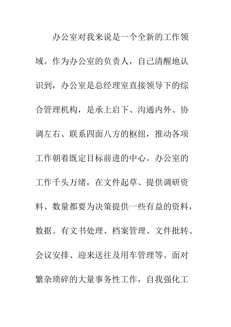 办公室主任个人工作总结示例--精编范文_第2页