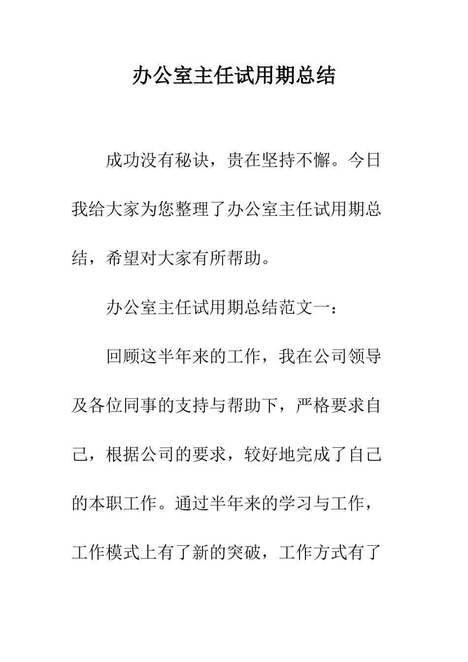 办公室主任试用期总结--精编范文_第1页