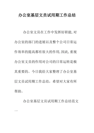 办公室基层文员试用期工作总结--精编范文