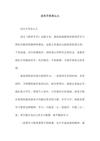 功夫不负有心人-2