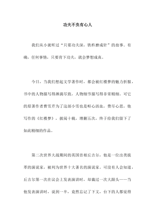 功夫不负有心人-5