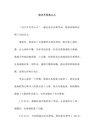 功夫不负有心人