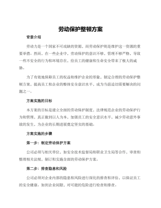 劳动保护整顿方案