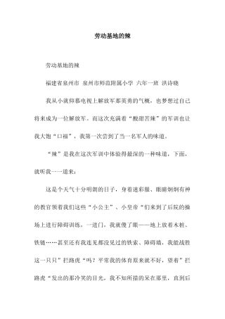 劳动基地的辣-2