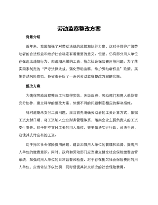 劳动监察整改方案