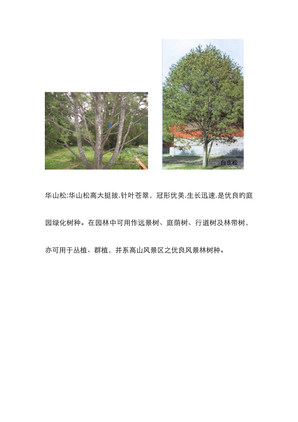 北方常用园林植物汇总_第3页