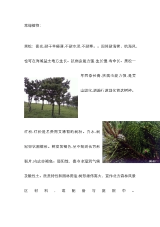 北方常用园林植物汇总