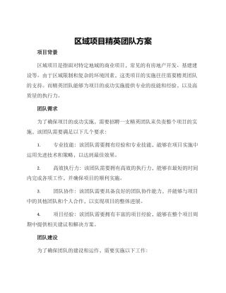 区域项目精英团队方案