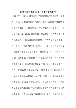 区委下派干部在XX镇开展工作情况汇报