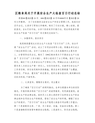 区粮食局关于开展安全生产大检查百日行动总结