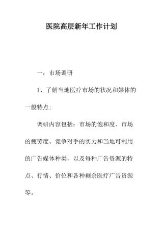 医院高层新年工作计划--精编范文
