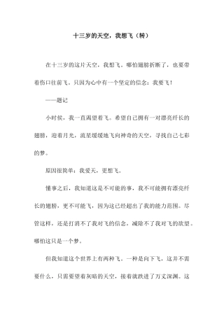 十三岁的天空-我想飞