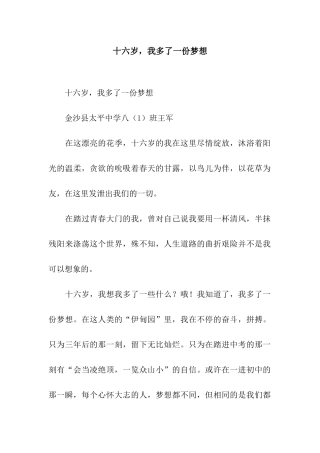 十六岁-我多了一份梦想-3
