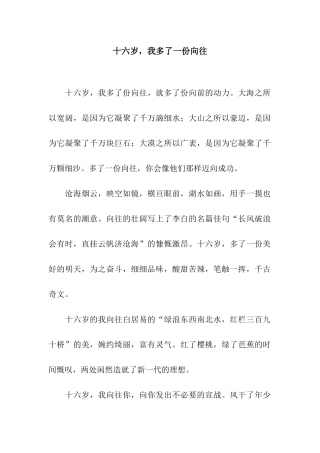 十六岁-我多了一份憧憬