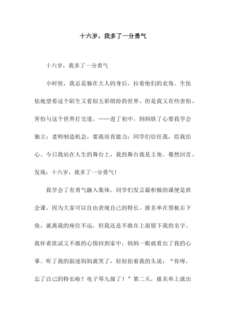 十六岁-我多了一分勇气-3