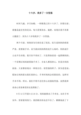 十六岁-我多了一分坚强