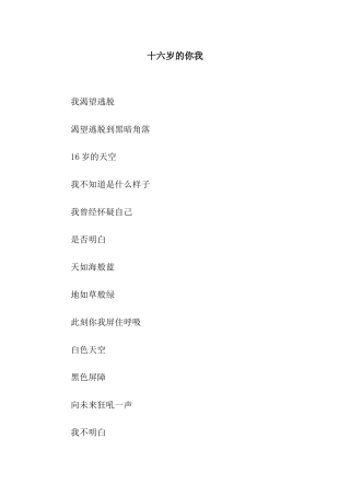 十六岁的你我
