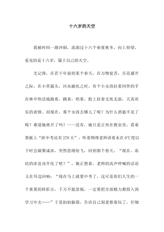 十六岁的天空