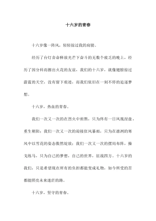十六岁的青春