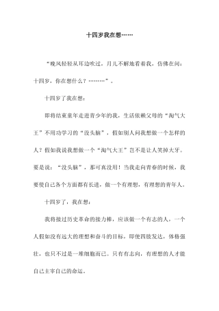 十四岁我在想……