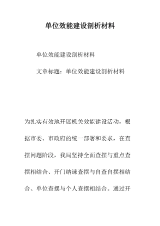 单位效能建设剖析材料--精编范文