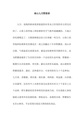 南山九月野菇香