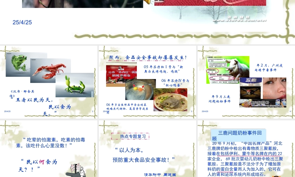 食品安全整治教学课件