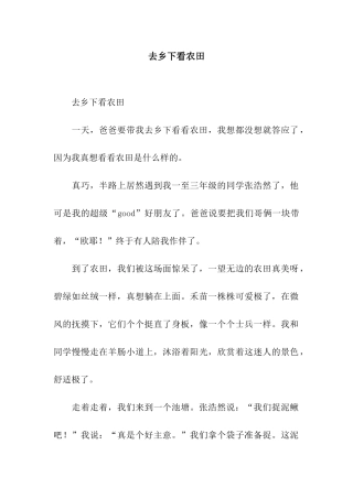 去乡下看农田
