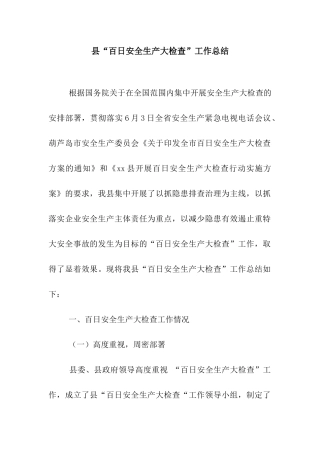 县“百日安全生产大检查”工作总结