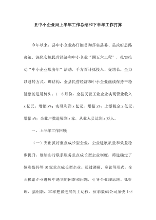 县中小企业局上半年工作总结和下半年工作打算