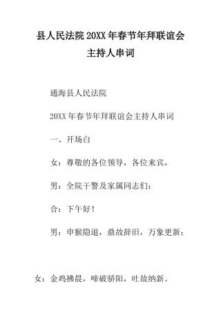 县人民法院2025年春节年拜联谊会主持人串词--精编范文