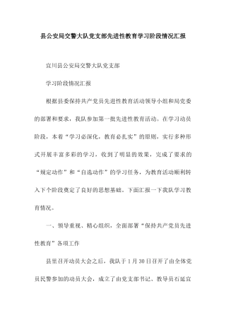 县公安局交警大队党支部先进性教育学习阶段情况汇报