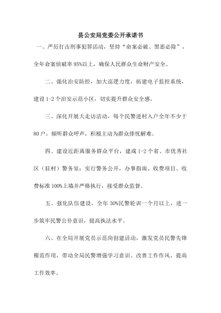 县公安局党委公开承诺书