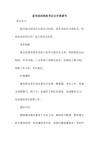 县司法局党组书记公开承诺书