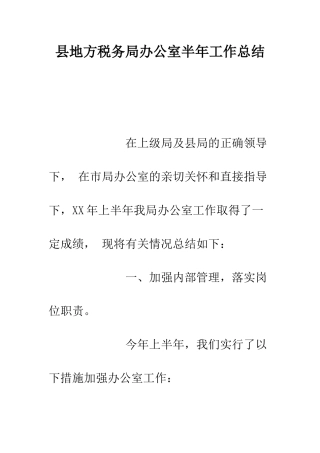 县地方税务局办公室半年工作总结--精编范文