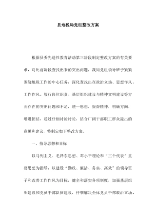 县地税局党组整改方案