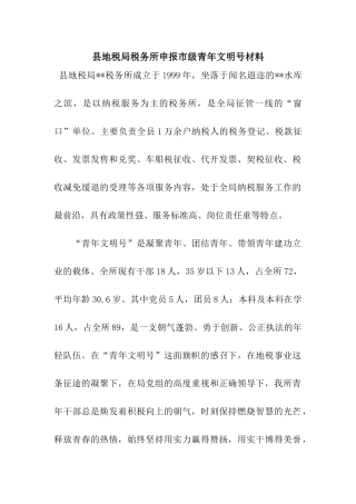 县地税局税务所申报市级青年文明号材料