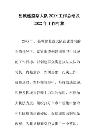 县城建监察大队2025工作总结及2025年工作打算--精编范文