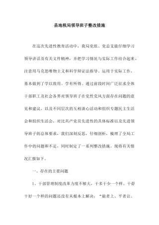县地税局领导班子整改措施