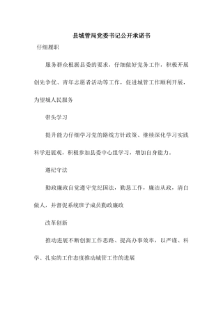 县城管局党委书记公开承诺书