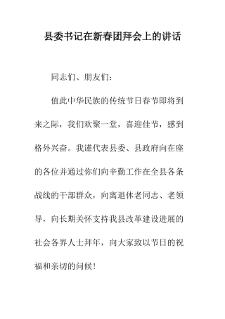 县委书记在新春团拜会上的讲话--精编范文