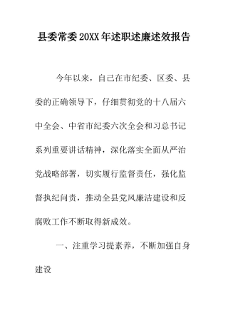 县委常委2025年述职述廉述效报告--精编范文