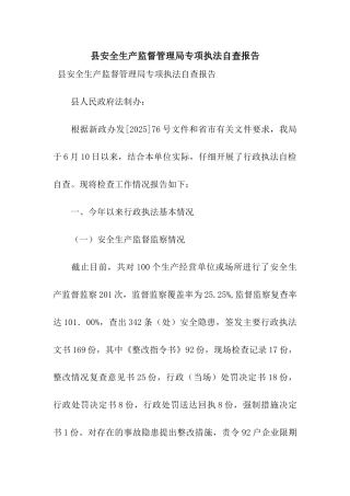 县安全生产监督管理局专项执法自查报告