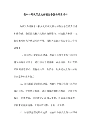 县审计局机关党支部创先争优公开承诺书