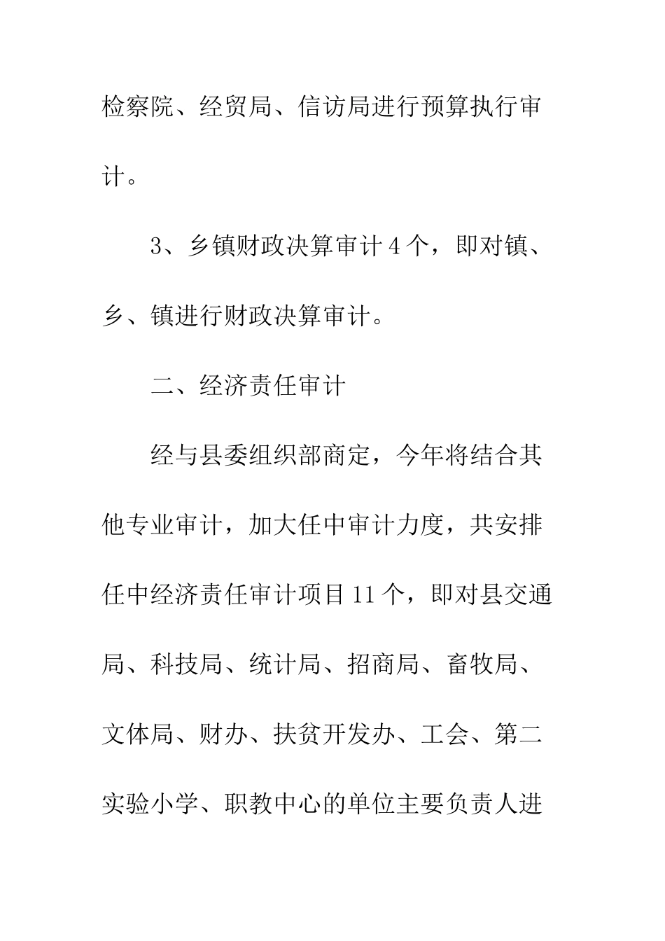 县审计项目计划安排意见--精编范文_第2页