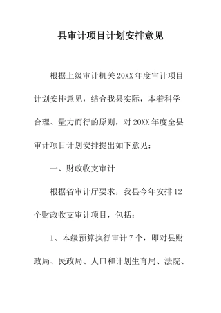县审计项目计划安排意见--精编范文