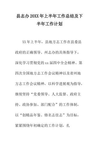 县志办2025年上半年工作总结及下半年工作计划--精编范文